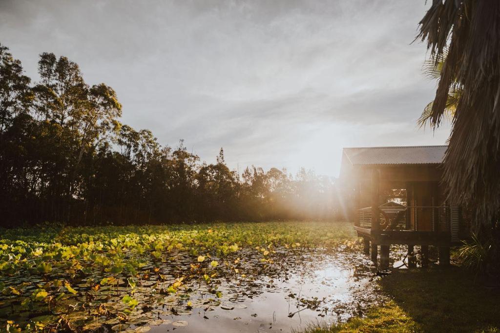 The Boathouses At Leaves & Fishes Lovedale Eksteriør billede