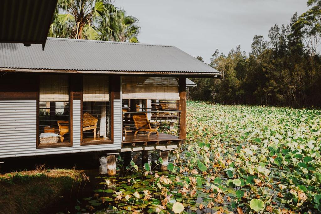 The Boathouses At Leaves & Fishes Lovedale Eksteriør billede