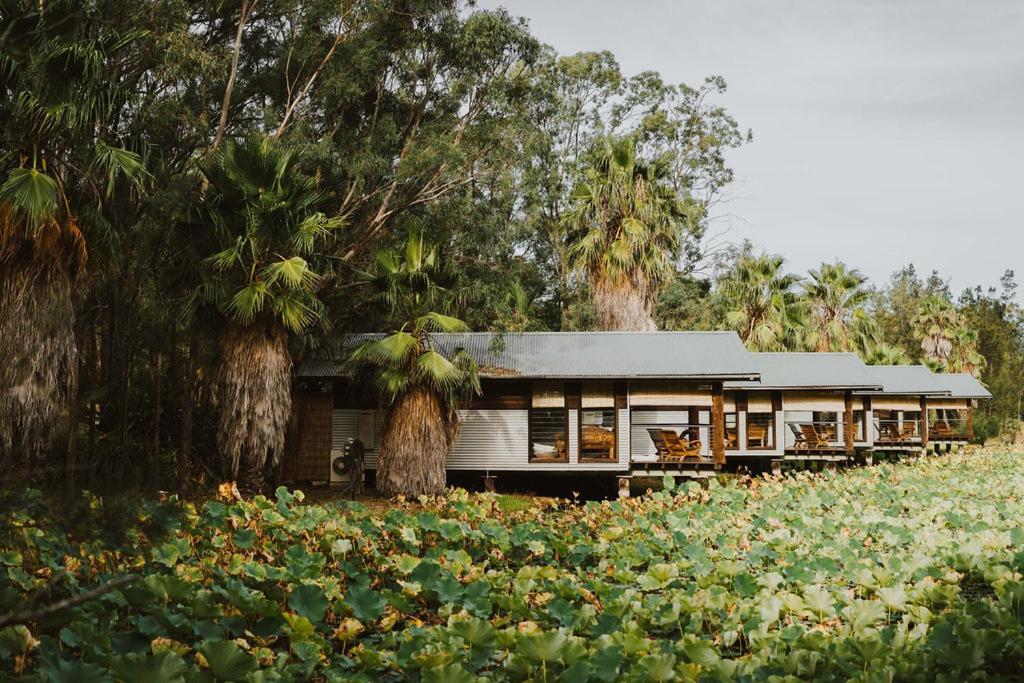 The Boathouses At Leaves & Fishes Lovedale Eksteriør billede